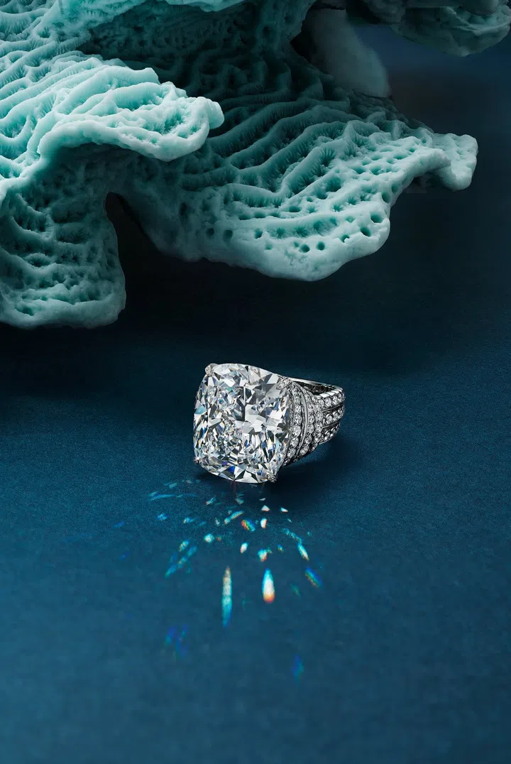 Tiffany & Co., Tiffany Blue Book 2025, High Jewellery