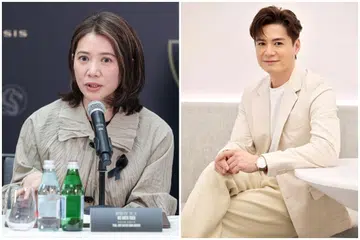 TVB，袁咏仪、罗子溢