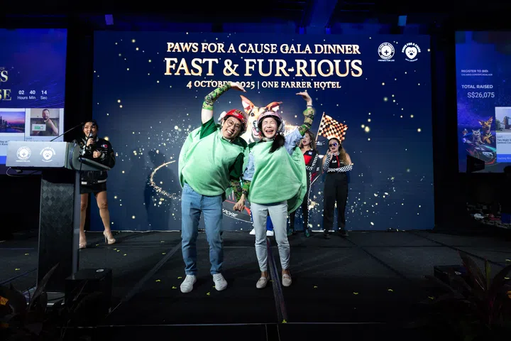 SPCA, Paws for a Cause Charity Gala