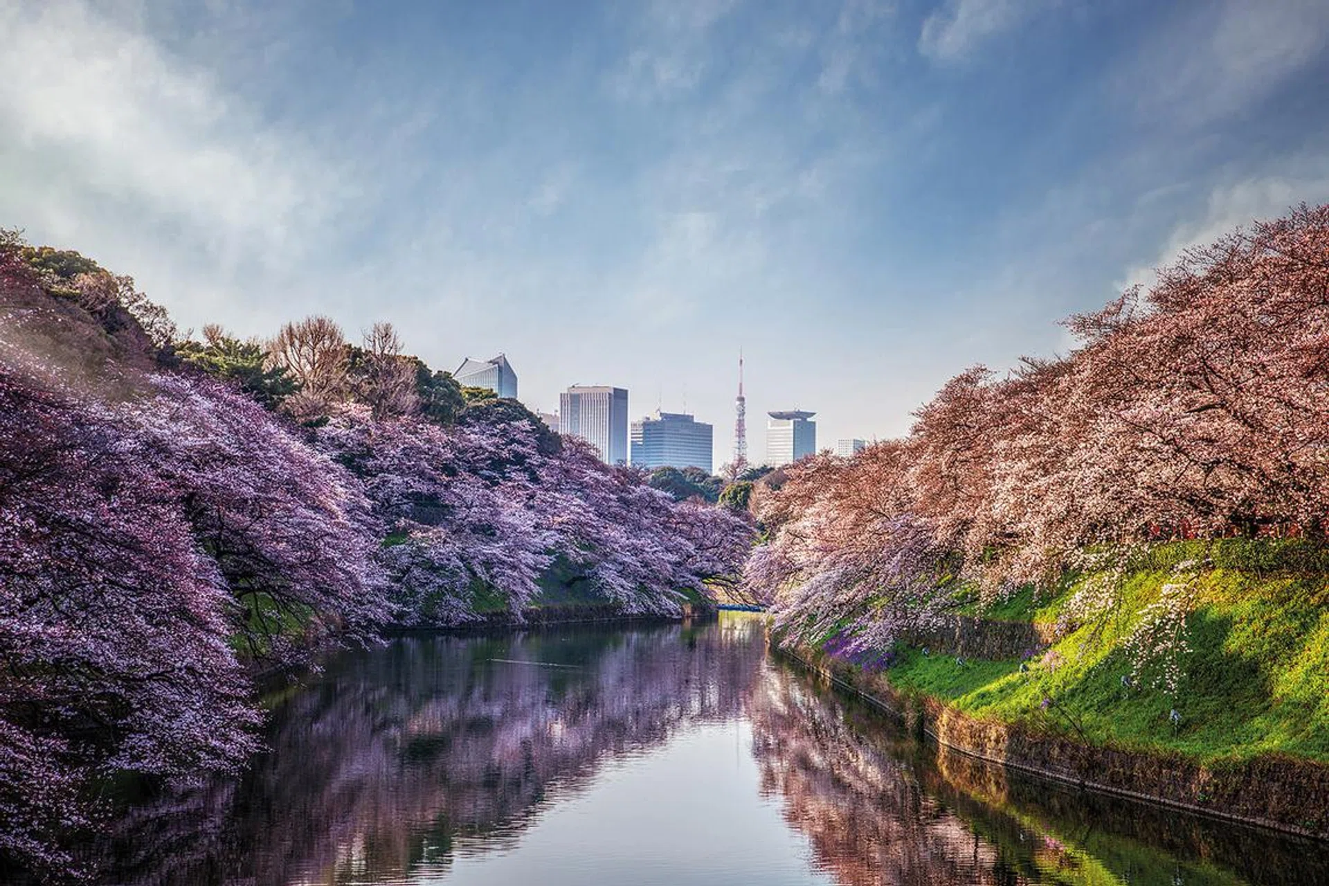 Four Seasons Tokyo