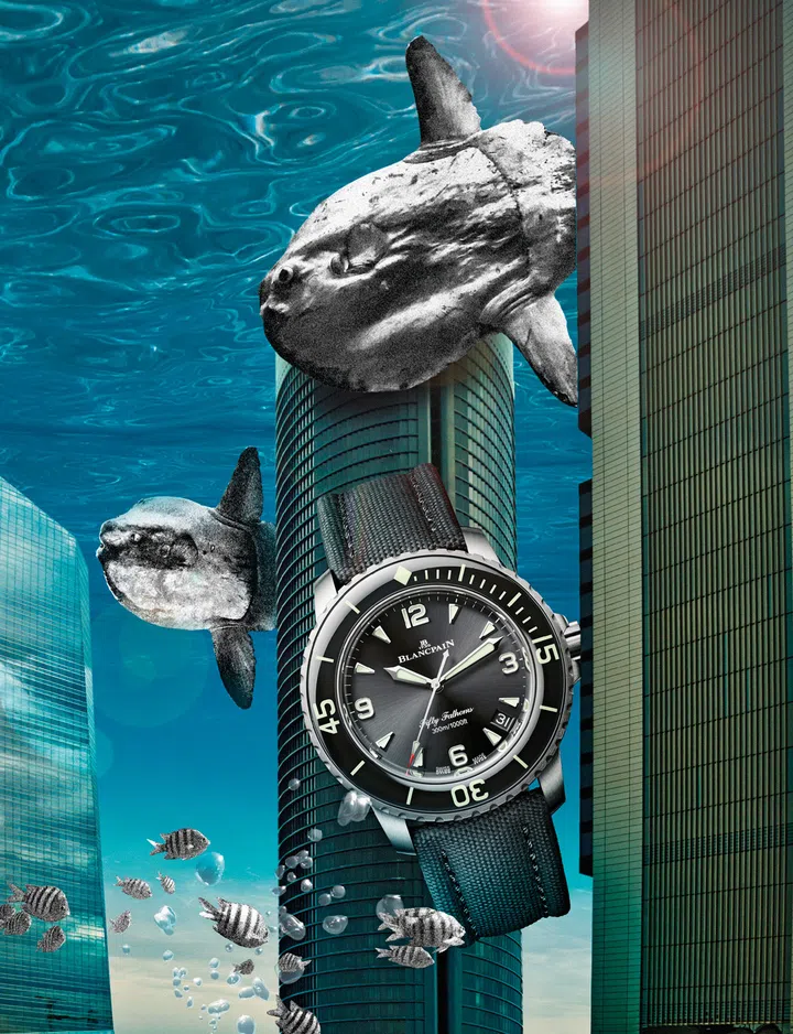 Dive watches, Diving watches, Watches, Blancpain