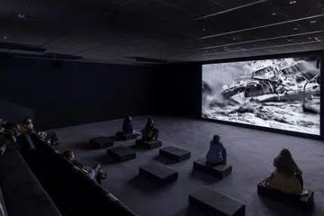 Fondation Cartier, Museum,Paris