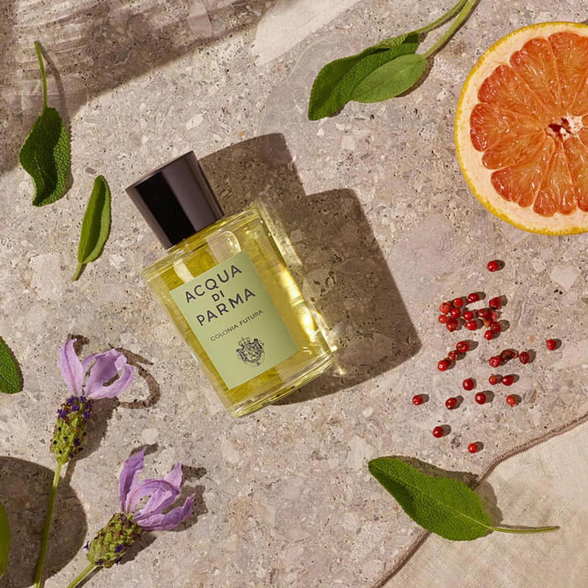 Fragrance, Acqua di Parma