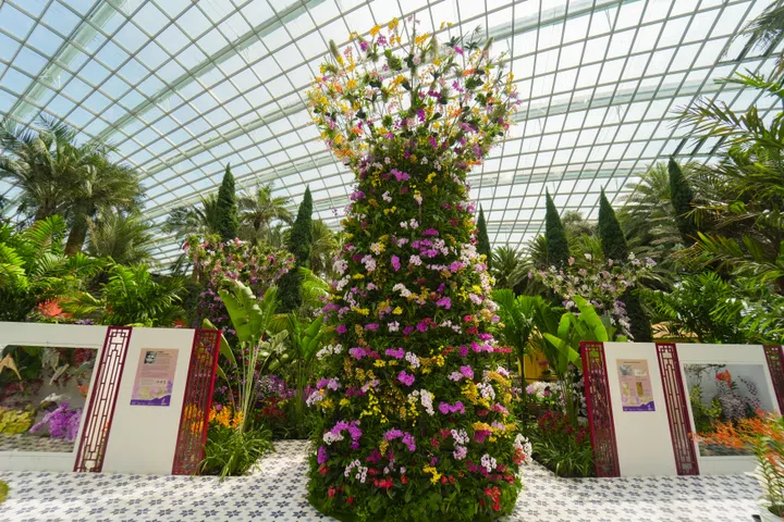 Supertree Gardens by the Bay