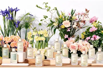 chloe fragrance