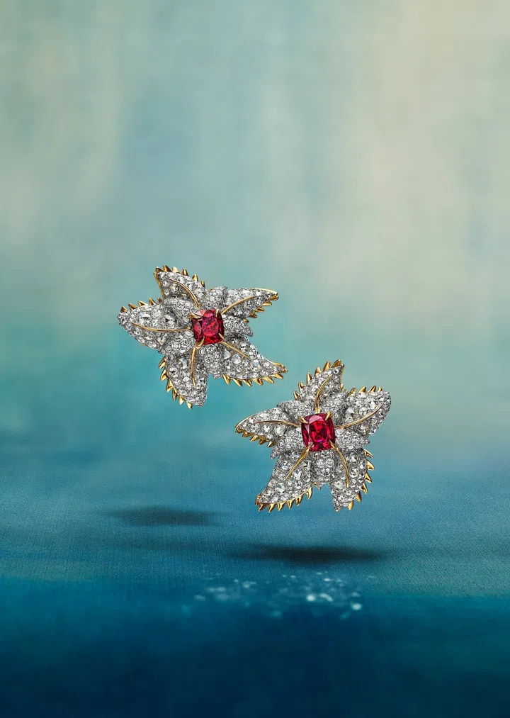 Tiffany & Co., Tiffany Blue Book 2025, High Jewellery