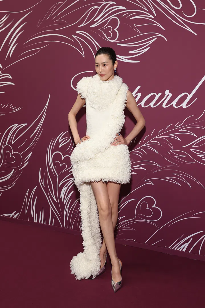 Cannes Film Festival 2026,Asian Celebs,Liu Wen