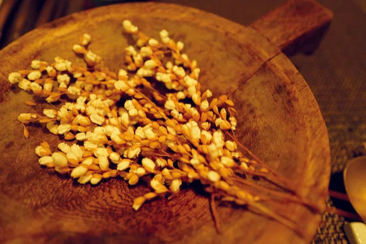 在24 Seasons 餐厅的柳弦秀师傅喜欢把当地最新鲜的食材带到餐桌上，这个盘中的炸麦子就是最好的例子。