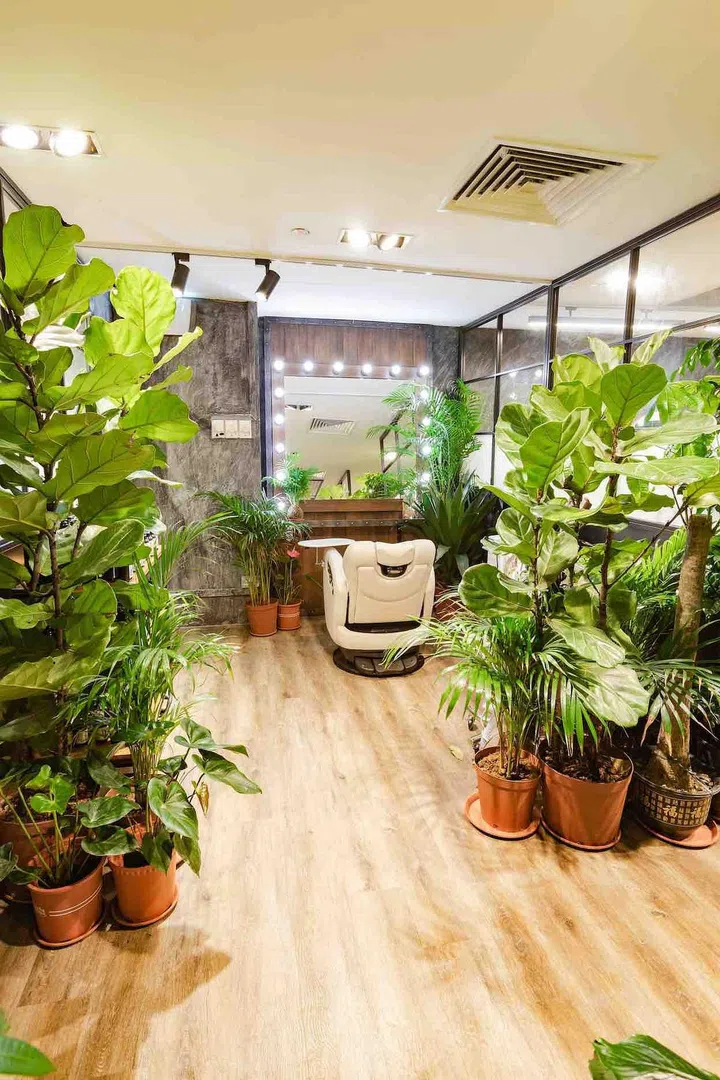 Kantik Room 以绿意装点环境，同时给予客人更多隐私。