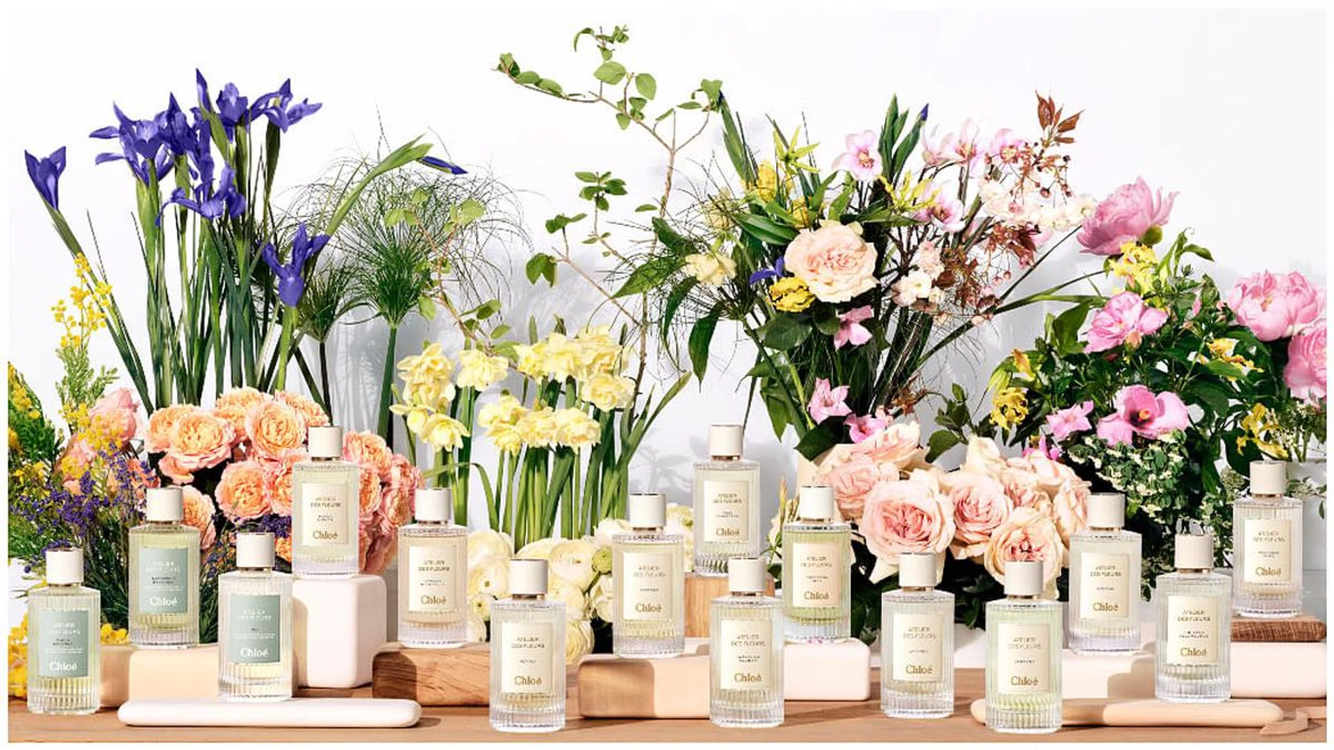 chloe fragrance