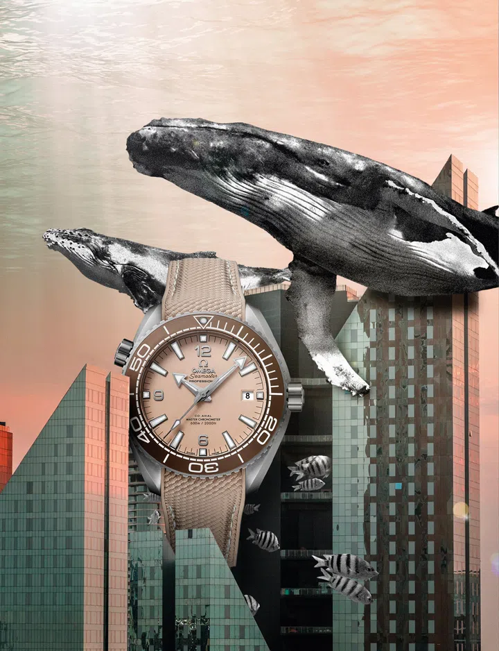 Dive watches, Diving watches, Watches, Omega