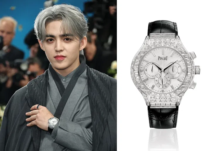 MET  Gala, MET Gala 2025