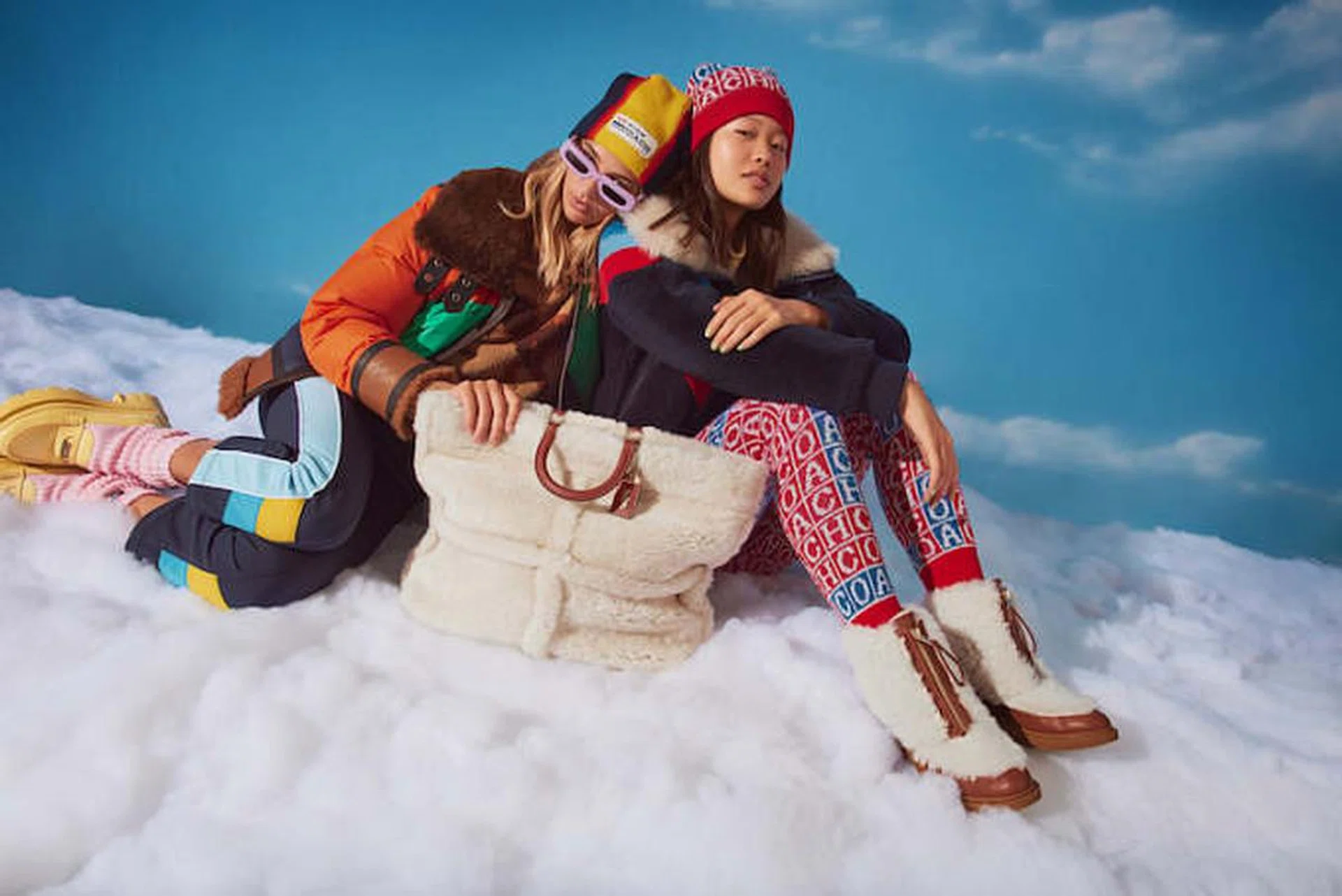 Louis Vuitton,Fendi,Dior,Moncler,Chanel,SKi Collection,Coach