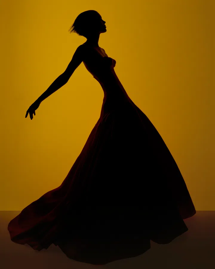 UBS House of Craft × Dior