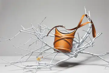 Fashion,Dior,Fendi,Prada,Miu Miu,Versace,Alexander McQueen, Miu Belle, Versace Medusa, Dior Caro, The Curve, Handbags,Miuccia Prada,Donatella Versace, Maria Grazia Chiuri,Sarah Burton,Silvia Venturini Fendi