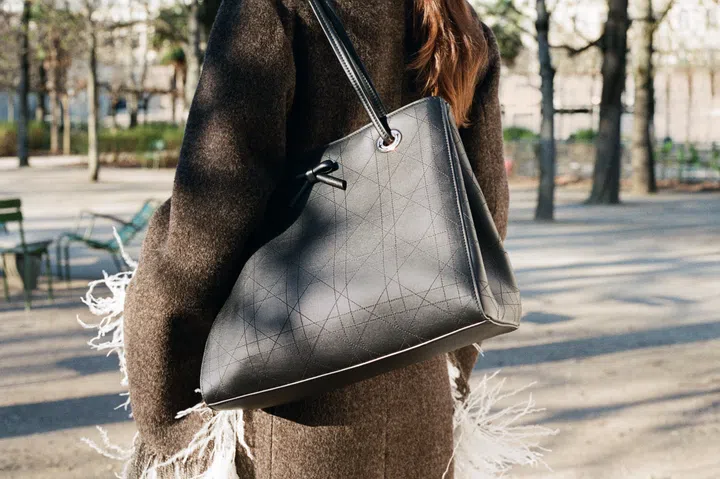 Dior Promenade购物袋