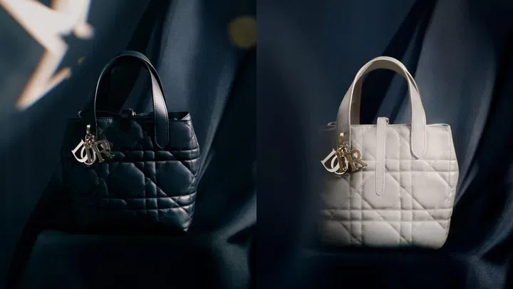 Dior Toujours Vertical手袋。Photo Courtesy of Dior © AGNES LLOYD-PLATT