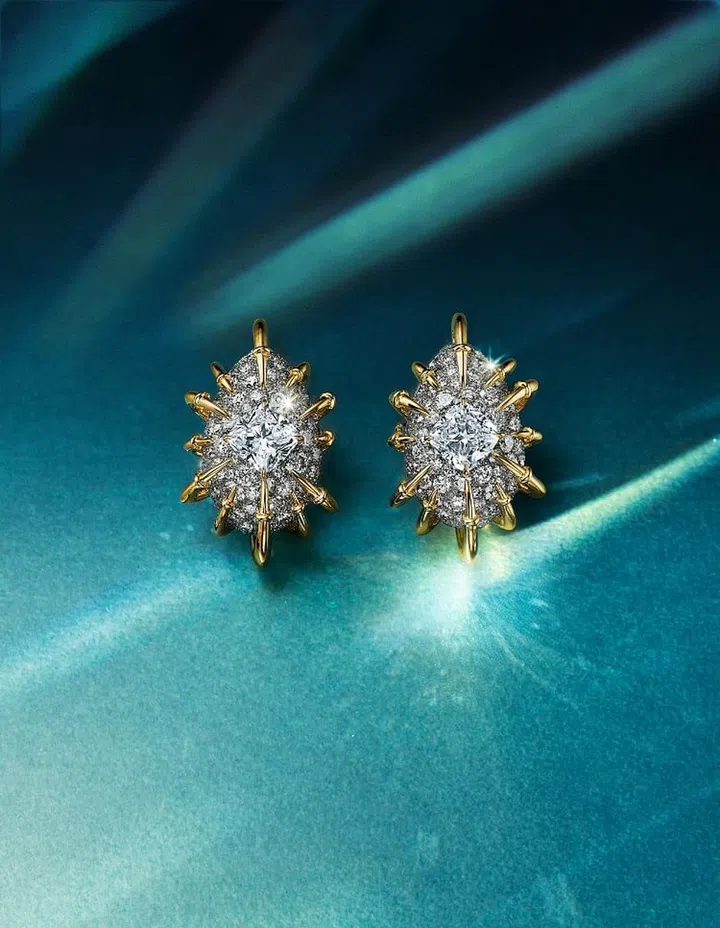 Tiffany & Co., Blue Book 2024, Blue Book High Jewellery Collection, Blue Book High Jewellery Collection 2024