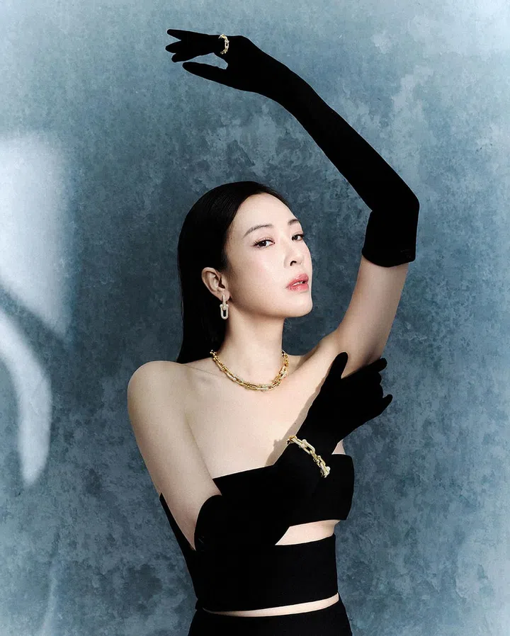 HardWear系列系列黄金镶钻渐变链环项链、黄金镶钻大号链环耳环、黄金镶钻大号链环手镯及黄金镶钻链环戒指小号款/Tiffany & Co.。 镂空无肩带礼服/Monot@Pois Boutique;Vlogo平纹针织手套/Valentino。