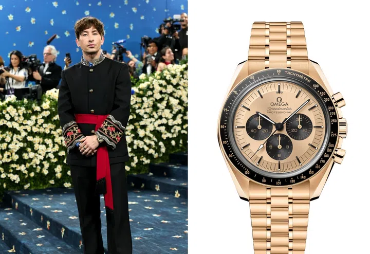MET  Gala, MET Gala 2025
