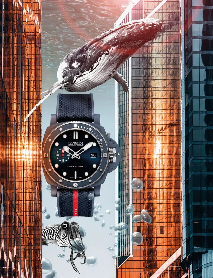Dive watches, Diving watches, Watches, Panerai