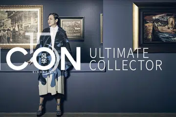 Rachel Teo, The private museum, art collector