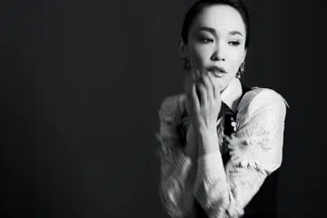 Fann Wong, 范文芳