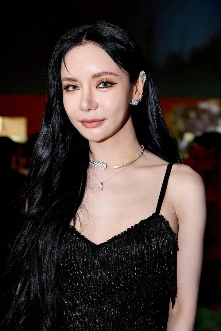 风华晚宴2026：璀璨珠宝造型, ICON Ball 2026, ICON Ball, 风华晚宴2026