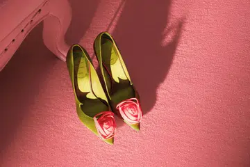 Icon ball,icon ball 2026,shoes,roger vivier