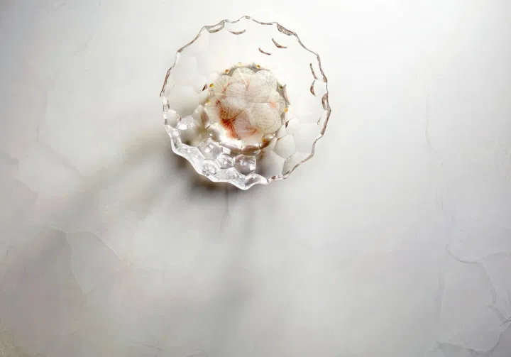 九道式套餐中的Buri /Galangal / Daikon
