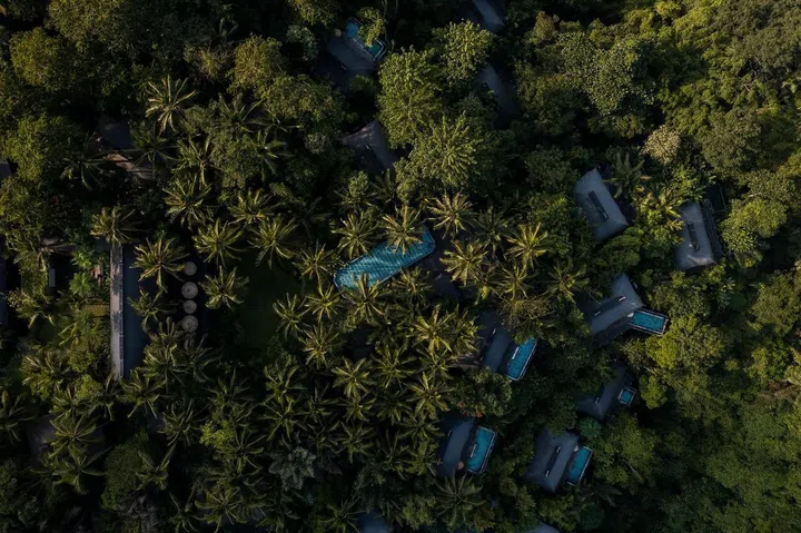 乌布深处这里远离人群，也是其最大吸引力, 就像乌布嘉佩乐(Capella Ubud)周围都环绕着大自然。