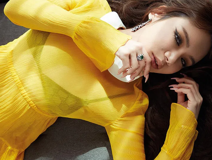 Kim LIm, 林慧俐