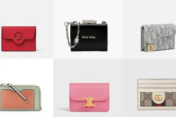 Fashion,Designer Card Holders,Trend