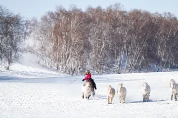 Rosalynn Tay, travel, 旅行，摄影