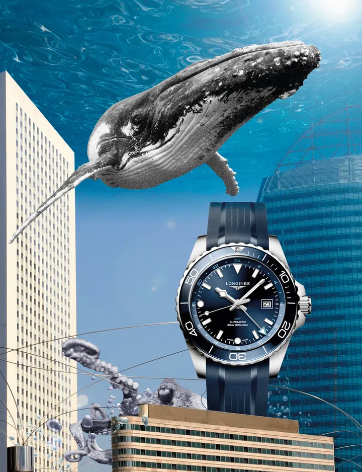 Dive watches, Diving watches, Watches, Longines