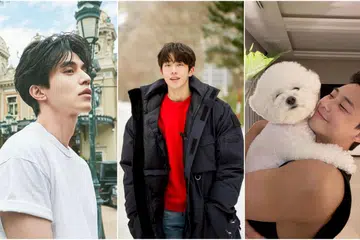 Korean actors, Oppa, K-drama, 韩星