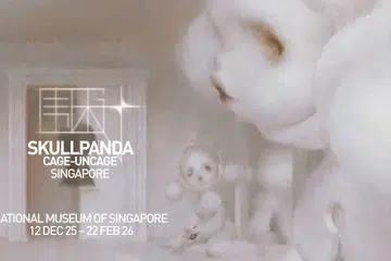 National Museum of Singapore, pop mart , skull panda