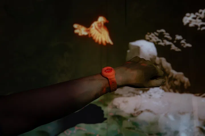 RFID Wristband National Museum Singapore