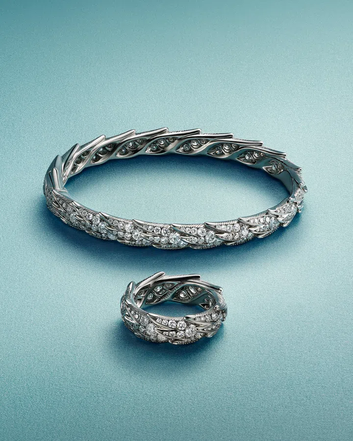 Bird on a Rock by Tiffany石上鸟高级珠宝系列，Wings主题以抽象方式展现羽毛。