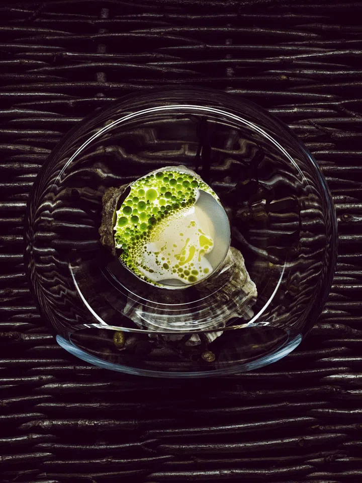 maaemo__norwegian-oysters-with-mussels-and-dill_credit-tuuka-koski