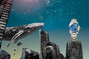 Dive watches, Diving watches, Watches, Rolex