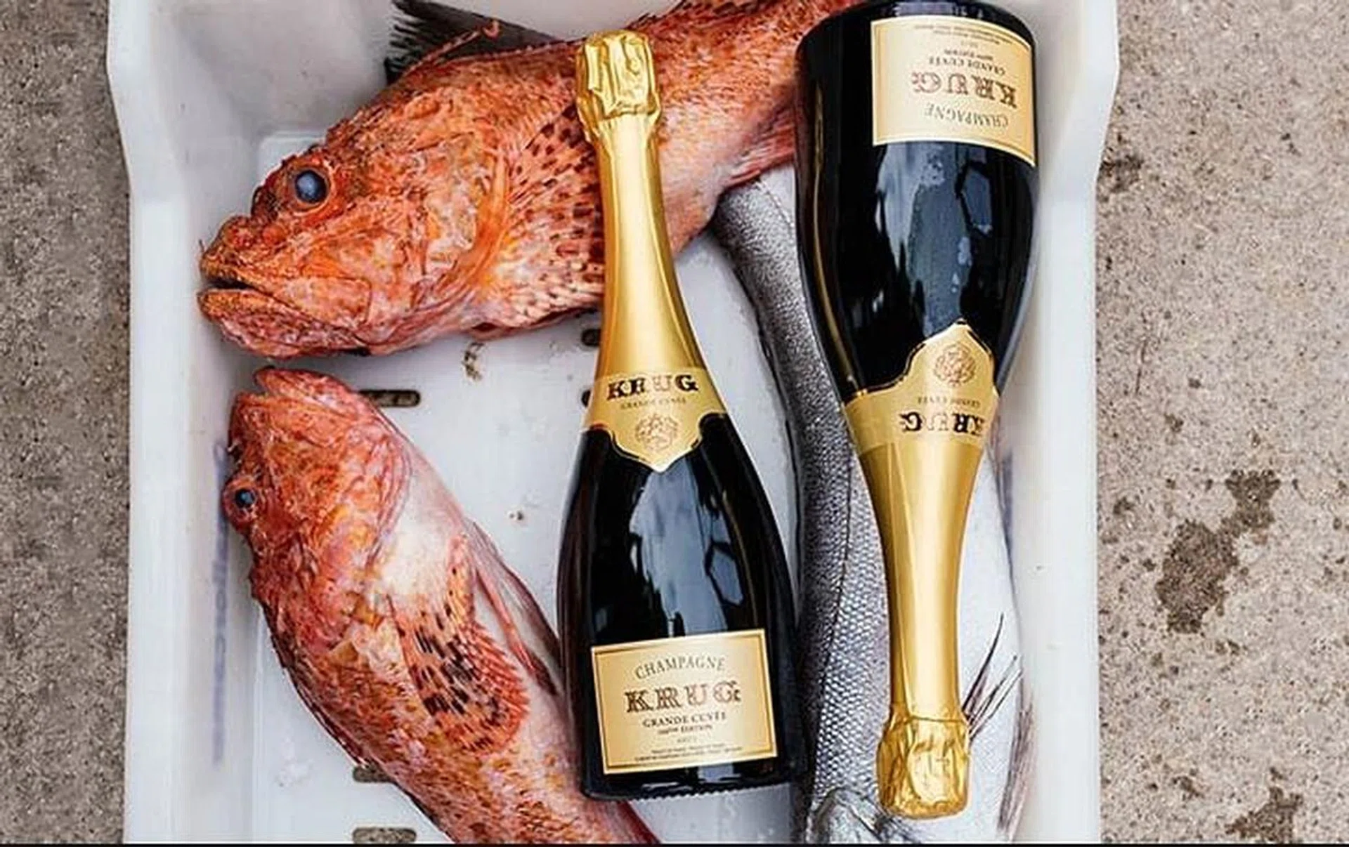 Krug, champagne, fish, restaurants