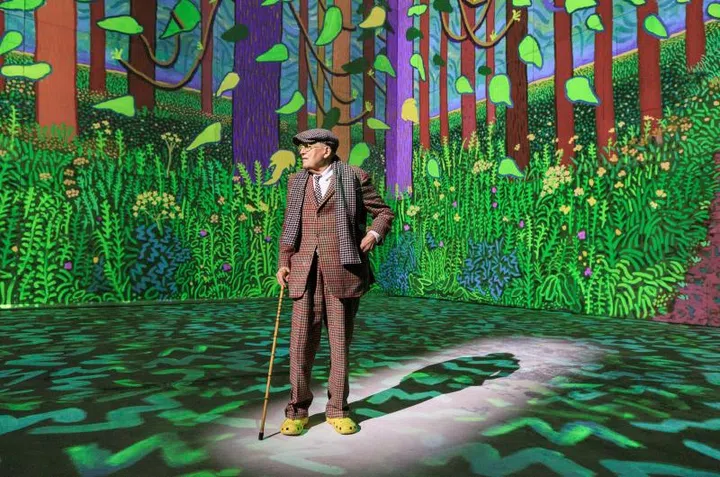 David Hockney, IMBA, art, immersive