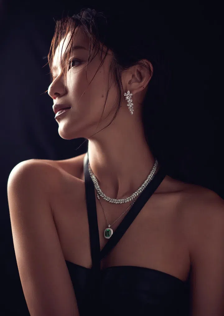 Tiffany Victoria系列钻石耳环; Tiffany Victoria系列铂金镶钻藤蔓项链; 沙佛莱石高级珠宝吊坠/Tiffany & Co.。皮革挂脖式连衣裙/Hermes。