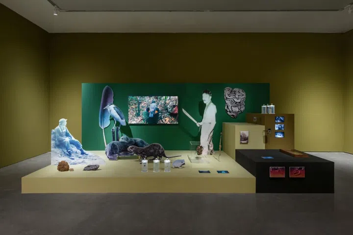 Robert Zhao-The Forest Institute , photo courtesy of  ShanghART Gallery