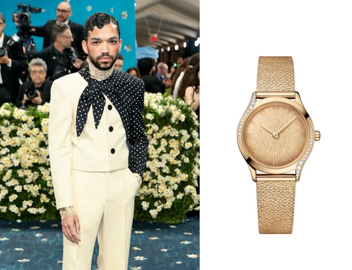 MET  Gala, MET Gala 2025