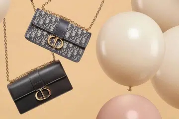 Dior Cruise 2023 handbags Book Tote Saddle 30 Montaigne East-West
