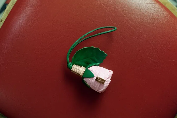 Dior Book Tote, Jonathan Anderson, Valentine’s Day