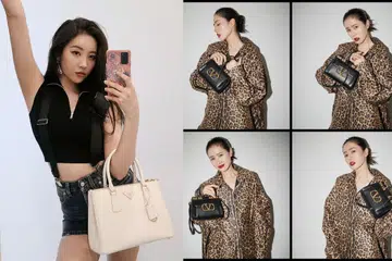 Celebrity,Handbag,Fashion,Prada,Valentino