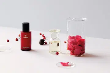 Chanel Beauty_Chanel No1